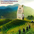 Super Kernel Basmati Rice 2 lb | HIMALAYAN CHEF